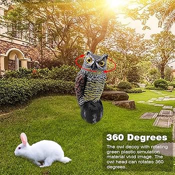 謎の置物 Amazon.co.jp: 鳥よけ 鳩よけ 鳥撃退グッズ フクロウ 置物